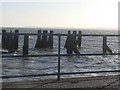 Wooden Groynes, floating out in the Ness