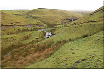 NY7158 : Moorland  south  of Haltwhistle by P Glenwright