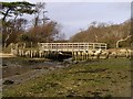 SZ3695 : Footbridge over Plummers Water, New Forest by Jim Champion