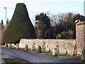 SU0625 : Yew Tree and Wall at Croucheston by Maigheach-gheal