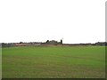 Tumulus near Cuckney