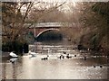 River Blackwater in Kelvedon, Essex