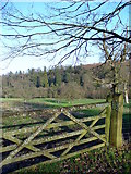 SU9030 : Gate near Wadesmarsh Farm by Colin Smith
