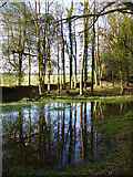 SU9030 : Pond by Lye Wood by Colin Smith