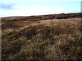 NG7587 : Moorland above Melvaig by Roger McLachlan