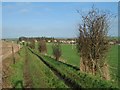 Byway near Netheravon