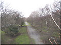 View north along the old L&NWR trackbed from Pontrhythallt Bridge