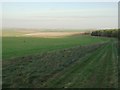 Bridleway and view towards Longstreet