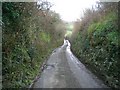 Down the steep lane to the quarry