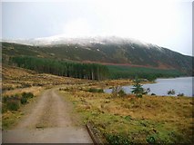 NH5474 : Track at the SE end of Loch Morie by Gordon Brown