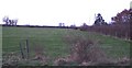 Field next to Furze Grounds Farm