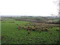 Mount Stewart Townland