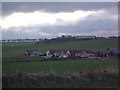 Bungalows near Nether Toucks