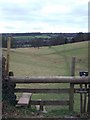 Footpath Across Sheep Grazing Land