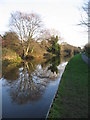 Shropshire Union reflections