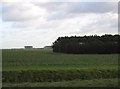 Farmland And Oil Tanks