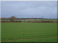 View towards Ringwood Lane (Track)