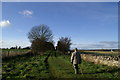 North Cotswold Diamond Way near Northleach