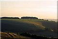 ST8920 : Charlton Down to Zig Zag hill at sunset by Simon Barnes