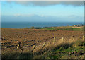 Old Tattie Field