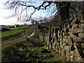 Approaching Woodhead