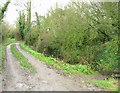 Continuation of track beyond scout camp, Minster.