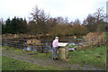 NT9907 : Netherton Pond by Peter Standing