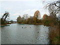 Shaftesbury Avenue Lake, Swindon