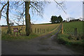 Lane to Easter Badentyre Farm.