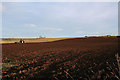 Winter ploughing at Quarryhill.