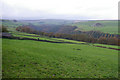 Enclosed pasture above Hebden Dale