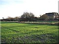 Fields and farmhouse, Woodnesborough.