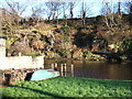 River cliff, River Coquet, The Butts, Warkworth