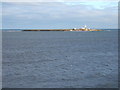 NU2904 : Coquet Island from Island View by Derek Harper