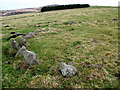 NT6265 : Kingside Hill Stone Circle by Lisa Jarvis