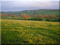 View across fields to Press, Alton and Ashover Rock