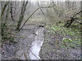 Woodland Brook feeding into Stockley Pond