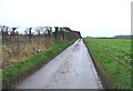 Looking SSW along Grove Road, near Staple.