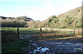 Horse coralls in the Treffgarne Gorge