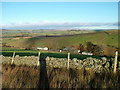 Low Shaw farm from Peatmire Hill