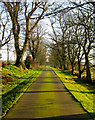 The road to Knockhall in late winter