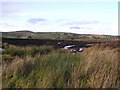 Bog at Brockagh