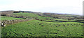 Knockenals Townland