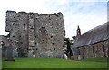 The Abbey Ruins at St Dogmaels