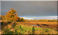 Autumn farmland in morning light