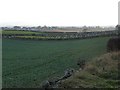 Duns Cemetery