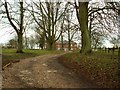 The driveway to Hempstead Hall