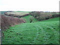 SX7739 : Fields near Wilton by Derek Harper