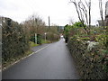 Bass Lane with Passing Place