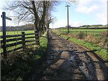ST3797 : Flowing Footpath by Michael Patterson